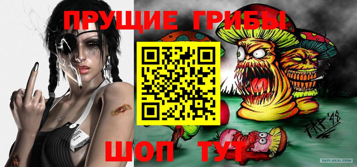 Псилоцибиновые грибы MAGIC MUSHROOMS  Вход с VPN  Заволжье  Псилоцибиновые грибы Magic Shrooms 