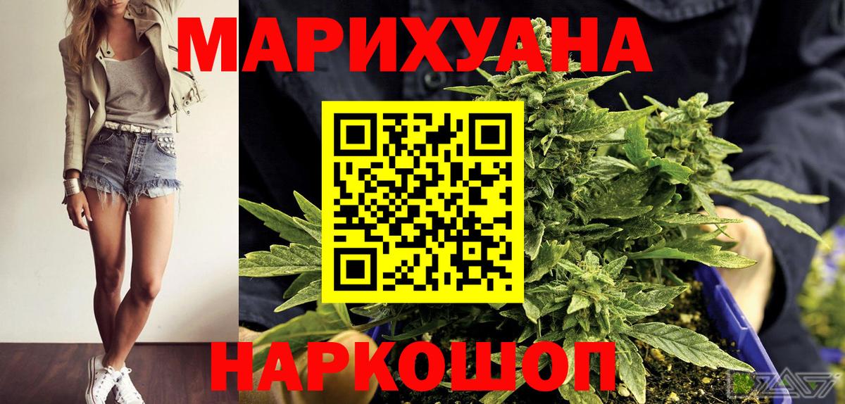 Конопля конопля Заволжье